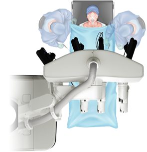 hinotori™イメージ1