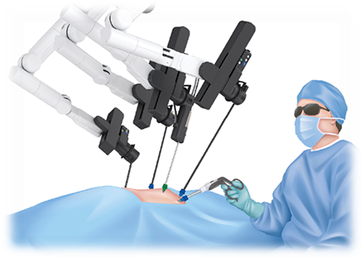 hinotori™イメージ4